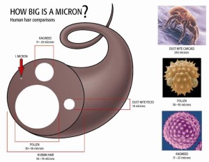 How big is a micron